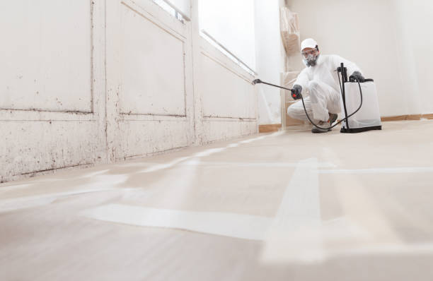 24/7 Emergency Commercial Mold Remediation experts in Hillsdale, MI